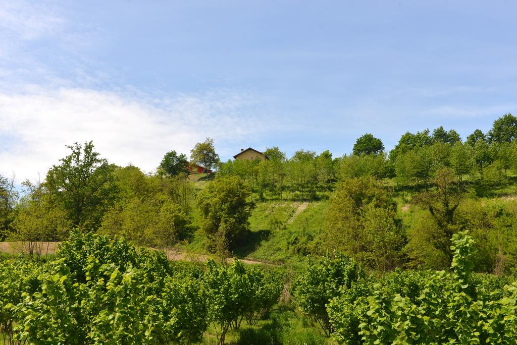 Casa Vacanze Il Brichet Mondovì Værelse billede